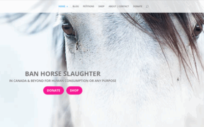 Help End Horse Slaughter