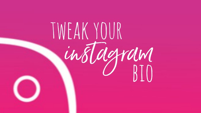 Instagram Bio Tips